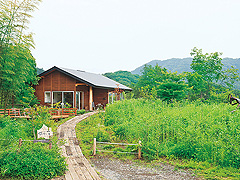 何時も庵