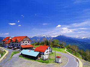 しらびそ高原