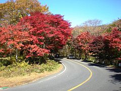 日塩もみじライン