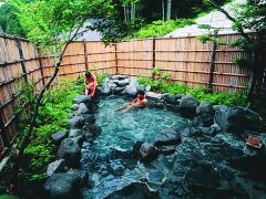 上人一休の湯