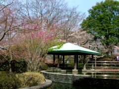 城山公園