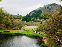 大沼公園
