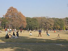 群馬県立公園群馬の森