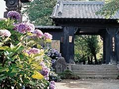 真光寺