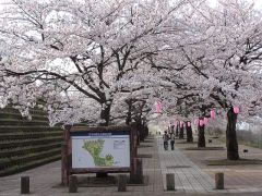 渋川市総合公園