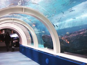 浅虫水族館