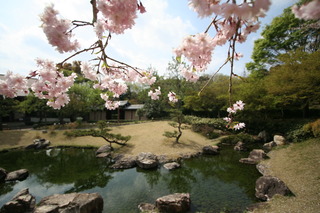万葉の森公園