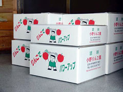 小野りんご園