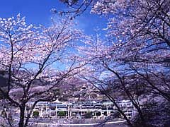 桐生が岡公園