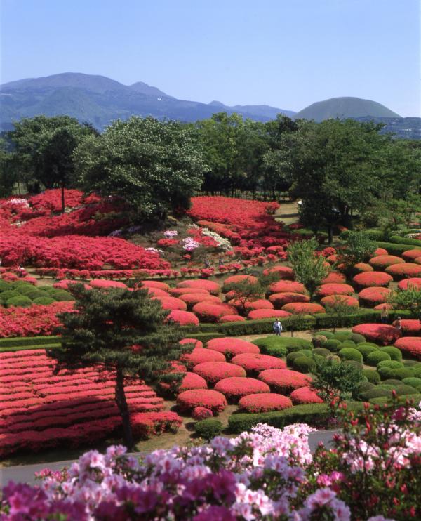 小室山公園