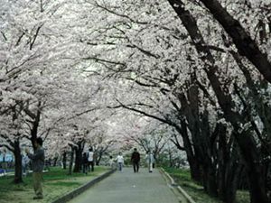 落合公園