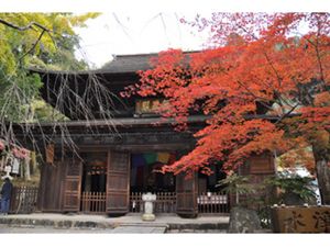 定光寺公園