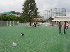DOG GARDEN RESORT鶴ケ島