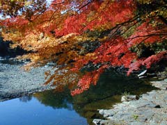嵐山渓谷