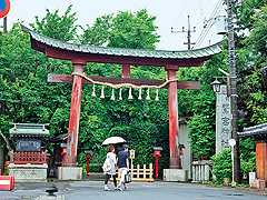 鷲宮神社