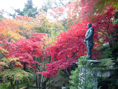 東郷公園