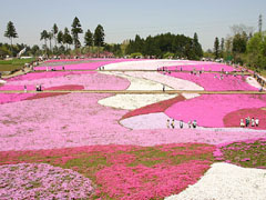 羊山公園