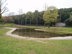 香澄公園