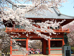 清水公園