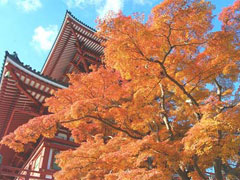 成田山公園