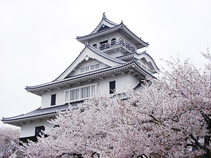 長浜城