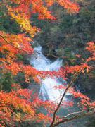 粟又ノ滝