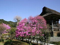 水月寺