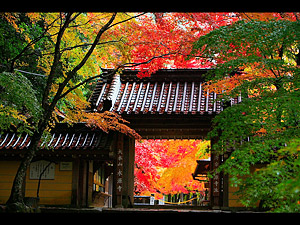 永源寺