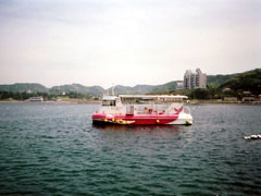海中観光船たてやま号