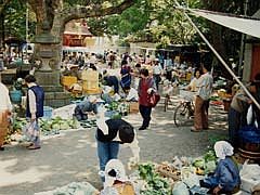 大原の朝市