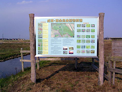 成東・東金食虫植物群落