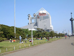 晴海ふ頭公園