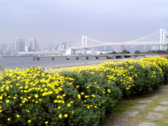 都立潮風公園
