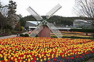 兵庫県立フラワーセンター