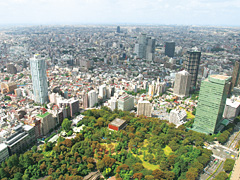 東京都庁展望室