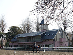 東京乗馬倶楽部
