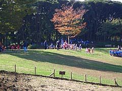 夢の島公園