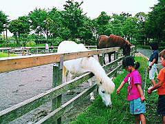 なぎさ公園