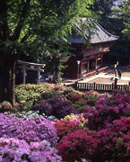 根津神社