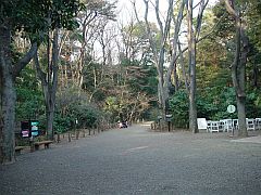 国立科学博物館附属自然教育園