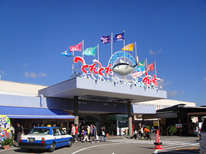 白浜とれとれ市場