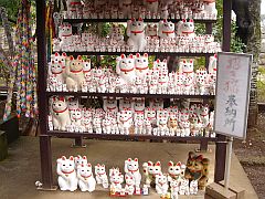 豪徳寺
