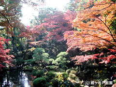 殿ケ谷戸庭園
