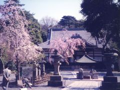 深大寺