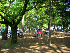 武蔵野公園