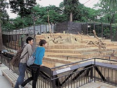 高尾山さる園・野草園