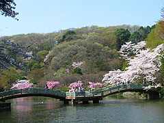 薬師池公園