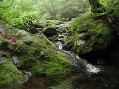 御岳山ロックガーデン