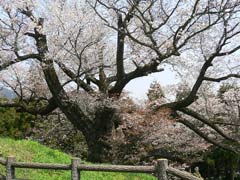 光厳寺