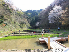 都立小峰公園